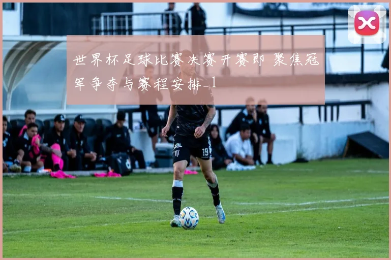 世界杯足球比赛决赛开赛即 聚焦冠军争夺与赛程安排_1