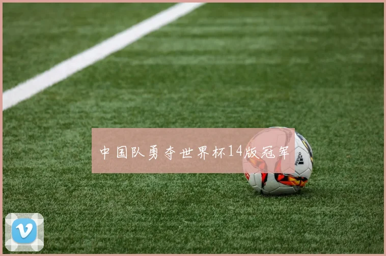 中国队勇夺世界杯14版冠军