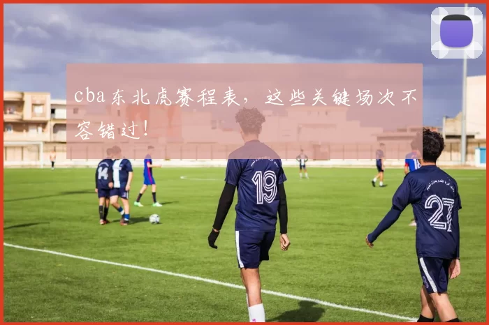 cba东北虎赛程表,这些关键场次不容错过!